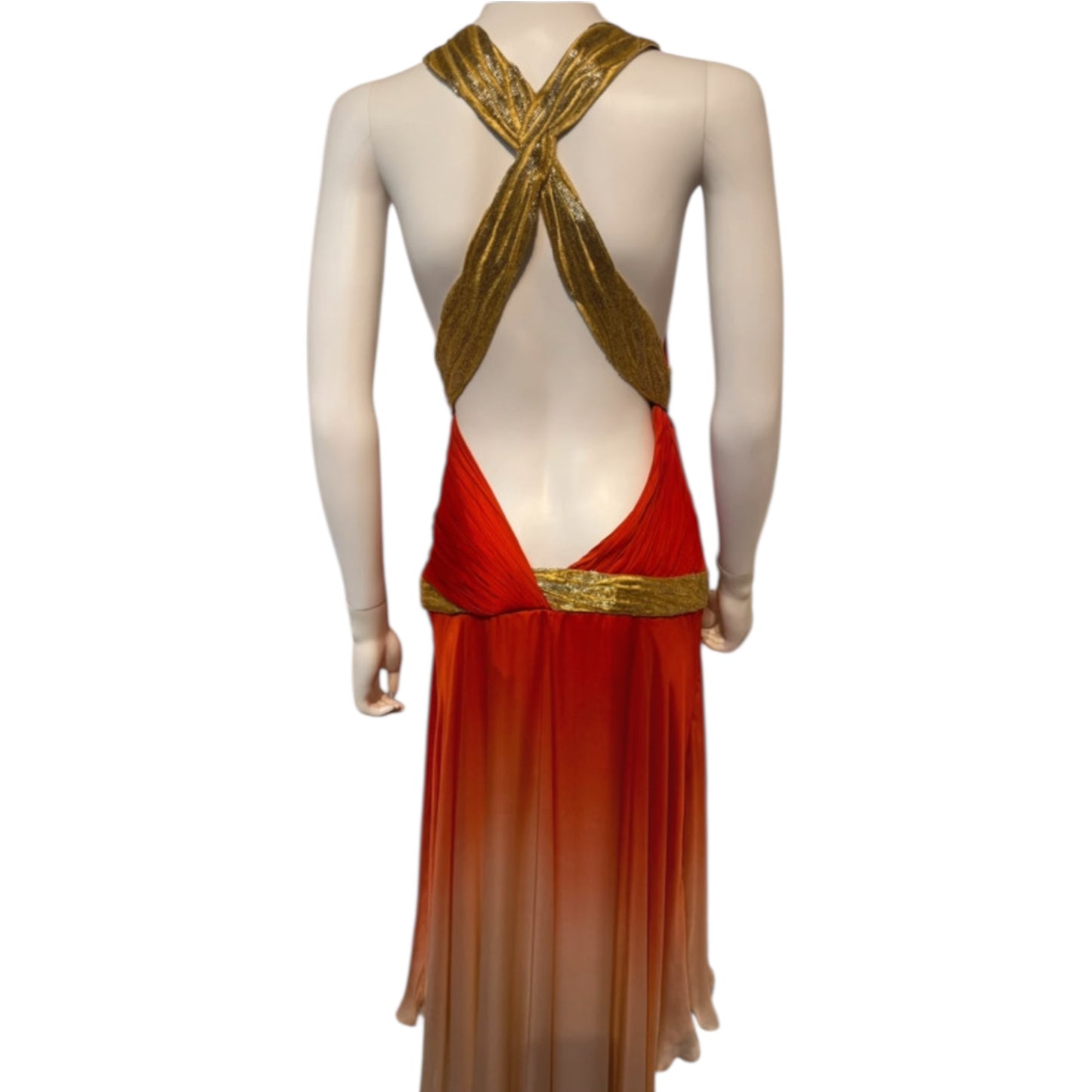 RENAL ONLY Vintage Roberto Cavalli SS 2006 Silk Runway Dress – Gemma Ward – Rare 2000s Designer Gown
