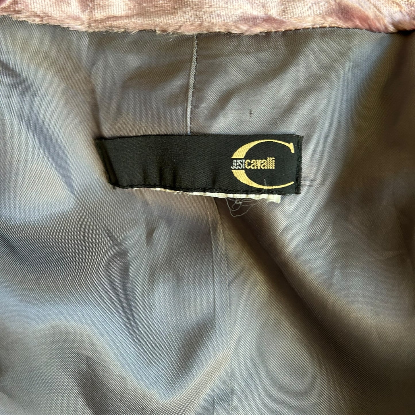 Vintage rare Roberto Cavalli velour purple blazer jacket